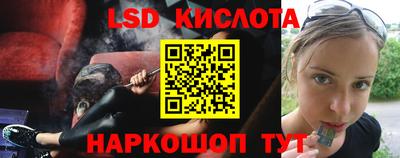 тгк Бердск