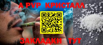 тгк Бердск