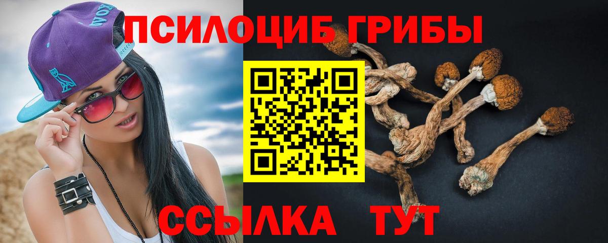 Псилоцибиновые грибы MAGIC MUSHROOMS  Вход с VPN  Углич  Псилоцибиновые грибы Psilocybe 